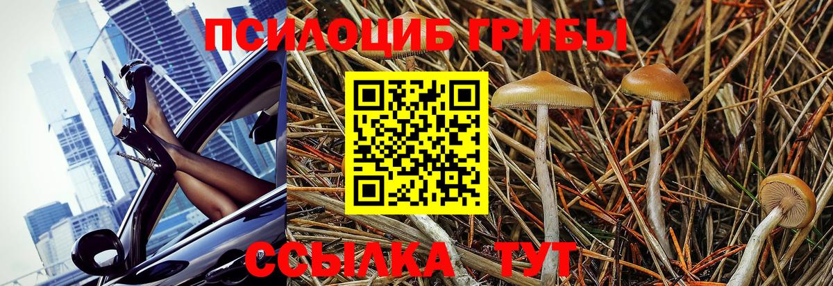 Псилоцибиновые грибы прущие грибы Богородицк