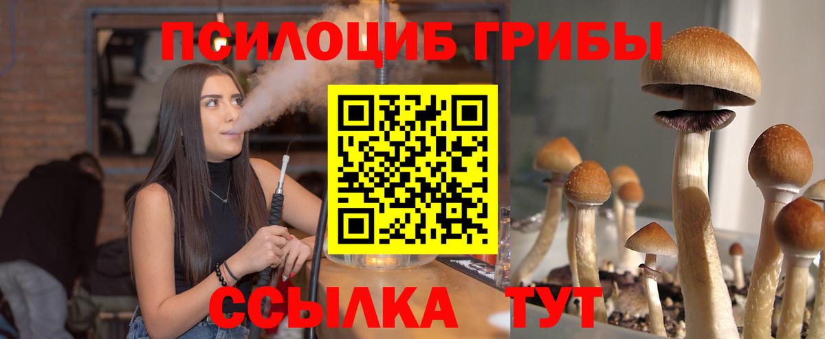 Богородицк  где купить   Вход с VPN  Галлюциногенные грибы MAGIC MUSHROOMS 